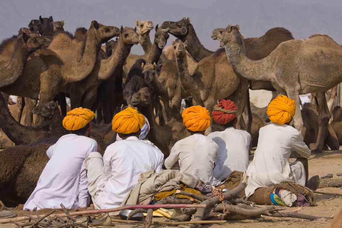 India: la Fiera di Pushkar